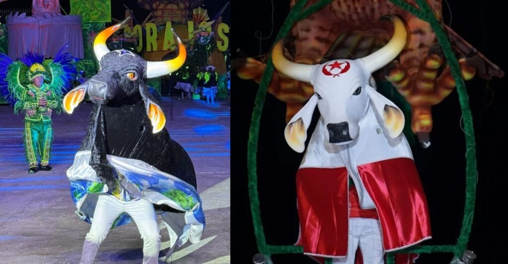 Fonte Boa no Amazonas: festival folclórico de 40 anos revive tradições com duelo de bois