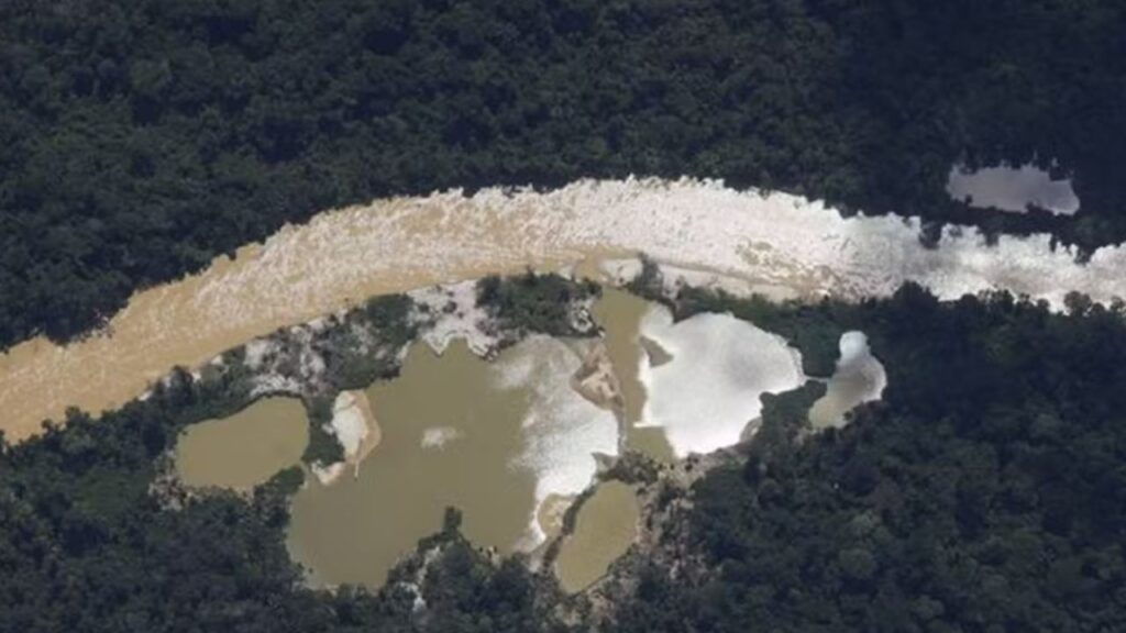 Garimpo ilegal no Parque Mapinguari: Justiça do Amazonas acusa quatro por devastação ambiental