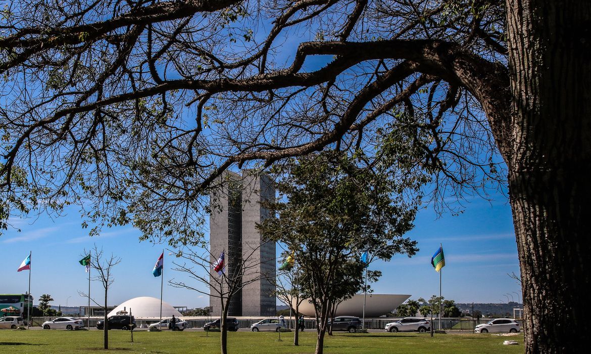 Congresso Nacional endurece penas para crimes sexuais digitais contra crianças e adolescentes