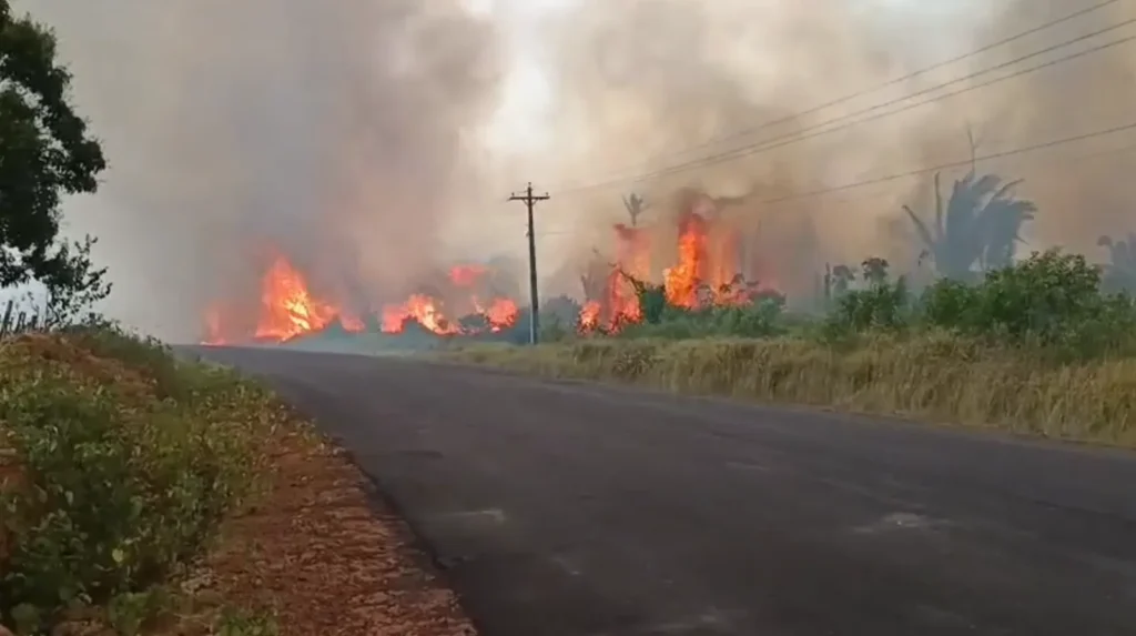 Chamas avançam em Caapiranga e ameaçam sítios no Amazonas: 'arriscar a vida'