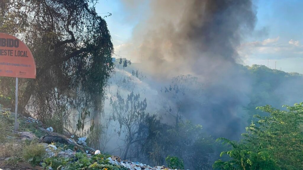 Incêndio em vegetação na Zona Leste de Manaus mobiliza bombeiros em terreno íngreme