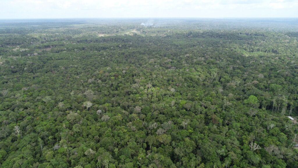 Queimadas no Amazonas crescem 20% em agosto com Apuí na liderança dos registros