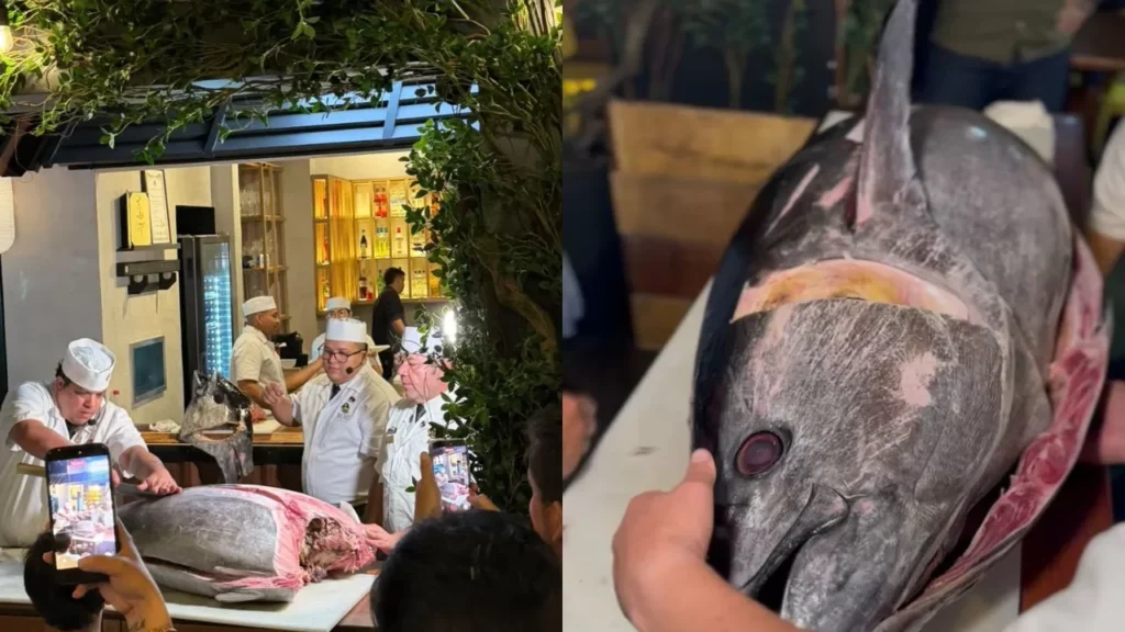 Cerimônia Kaitai marca um ano do Mori Izakaya com atum bluefin de 100 kg em Manaus