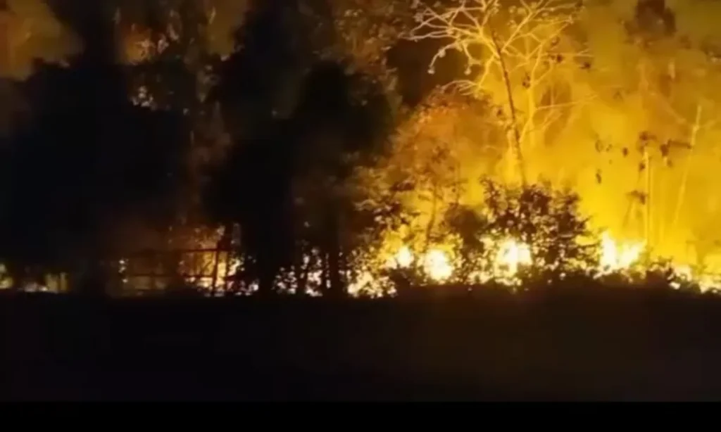 Chamas consomem mata perto de lixão em Maués e acendem alerta para recorrência no Amazonas