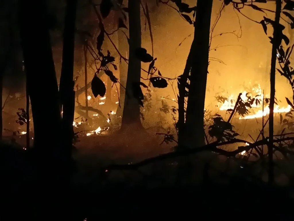 Defensoria do Amazonas cobra PGR por ações urgentes contra avanço das queimadas