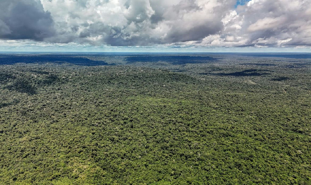 Governo autoriza empréstimo de US$ 1 bilhão do BID para o Eco Invest Brasil