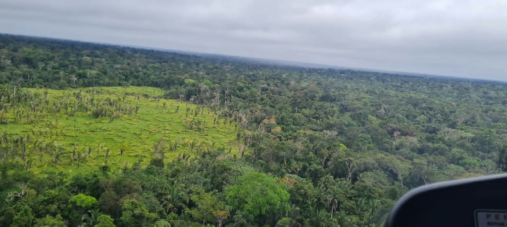 Governo federal cria quatro reservas de desenvolvimento sustentável no Amazonas