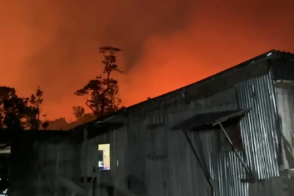 Incêndio em vegetação ameaça residências e plantações em Manacapuru