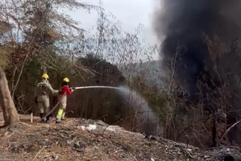 Incêndios no Amazonas: estado registra 99 ocorrências em um dia, com focos em vegetação e áreas urbanas