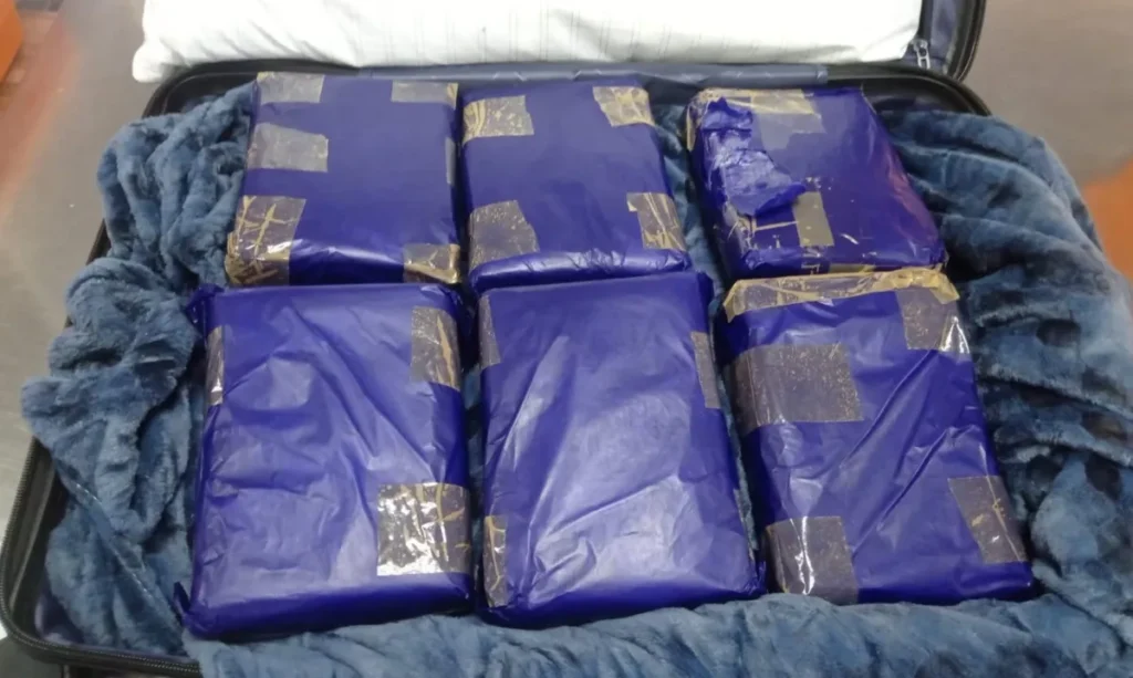 Passageira é flagrada com 12 quilos de skunk em voo para Belém no Aeroporto de Manaus