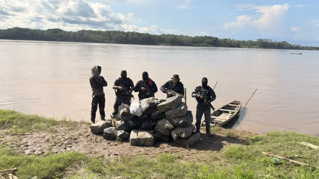 Polícia apreende 752 quilos de skunk em área rural de Benjamin Constant