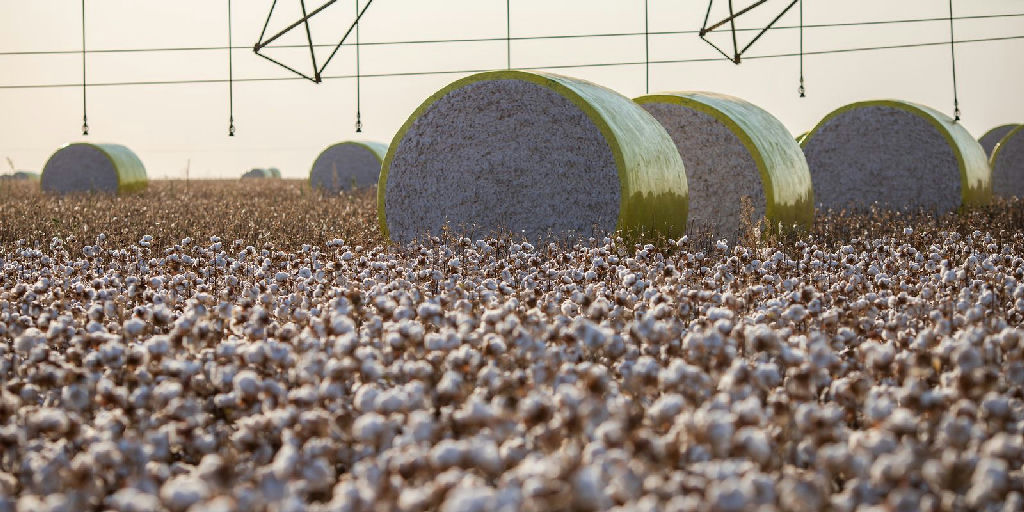 Reconfiguração territorial no Mato Grosso muda liderança da produção agrícola nacional