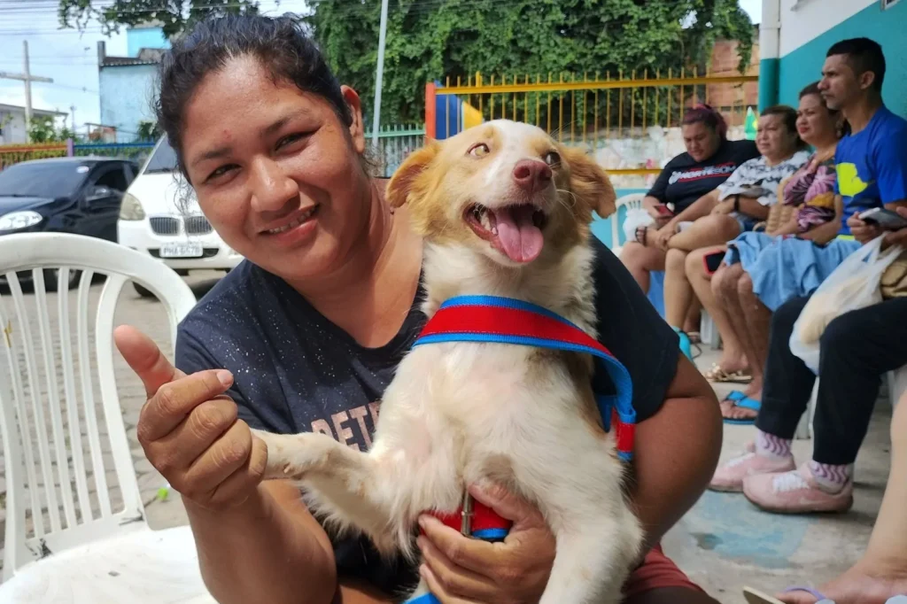 Agendamento online para castração de cães e gatos em Manaus é liberado