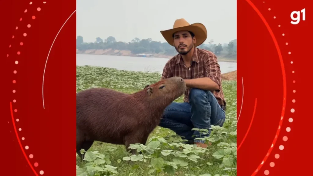 Capivara Filó: Justiça determina retorno ao Ibama e influenciador Agenor Tupinambá promete nova batalha legal