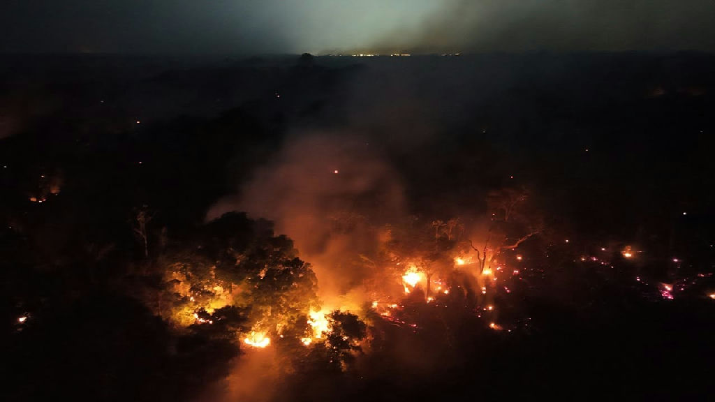 Combate a incêndios no Amazonas ganha reforço de força-tarefa de SP