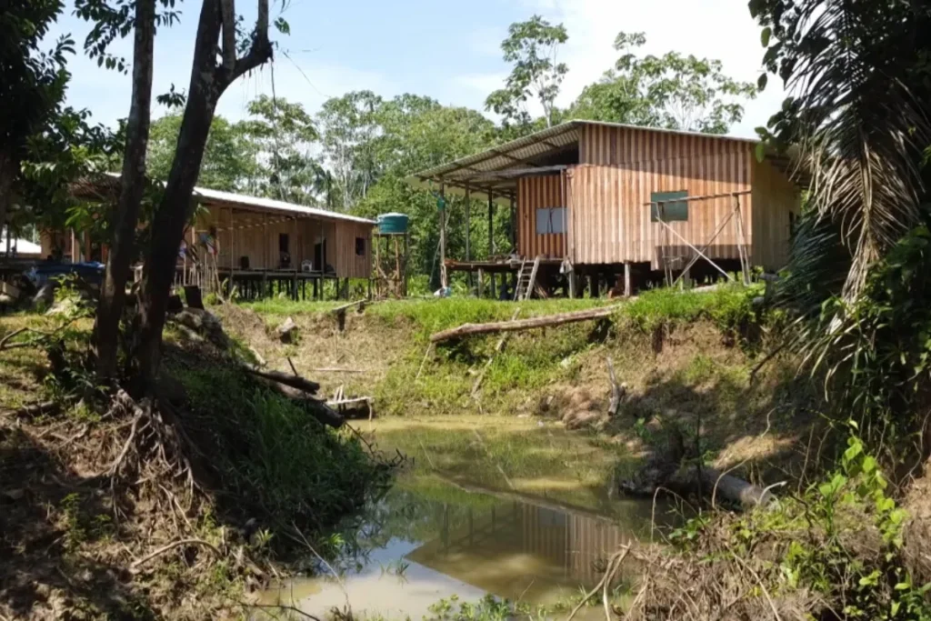 Fenômeno de terras caídas obriga ribeirinhos a mudarem casas durante estiagem no Amazonas