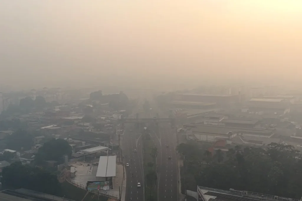 Fumaça encobre avenida na Zona Norte de Manaus e reduz visibilidade
