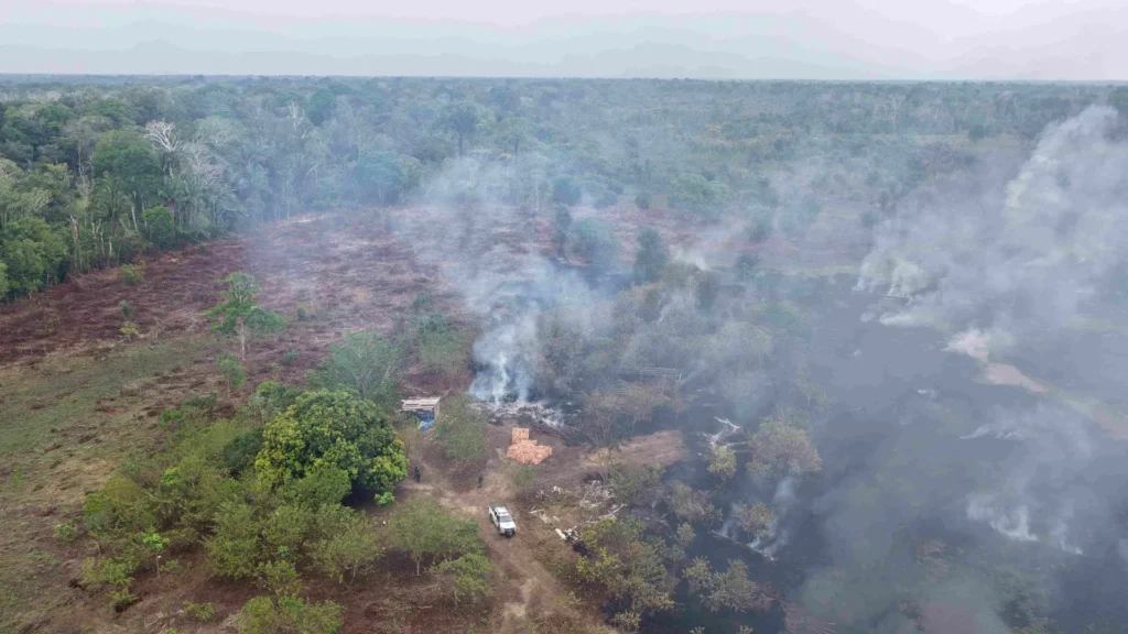 Humaitá encabeça ranking de multas e áreas embargadas por fogo irregular no Amazonas