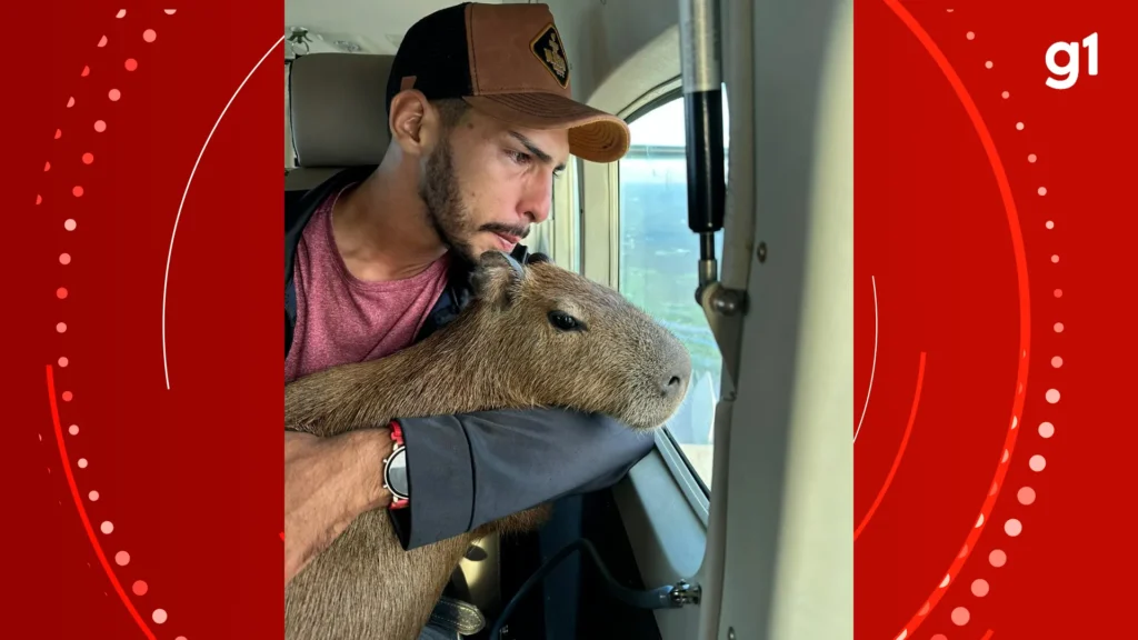 Justiça nega guarda de Filó a Agenor Tupinambá e ordena devolução da capivara ao Ibama