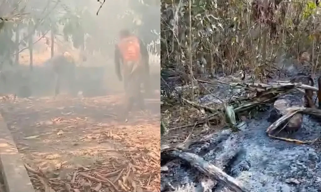 Queimadas em Parintins elevam preço da farinha em 100% e ameaçam sustento de produtores