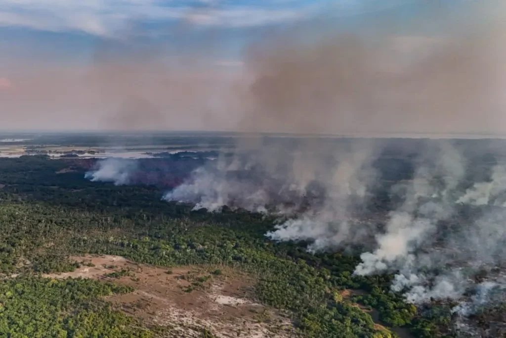 Queimadas no Amazonas: combate foca em executores e ignora financiadores