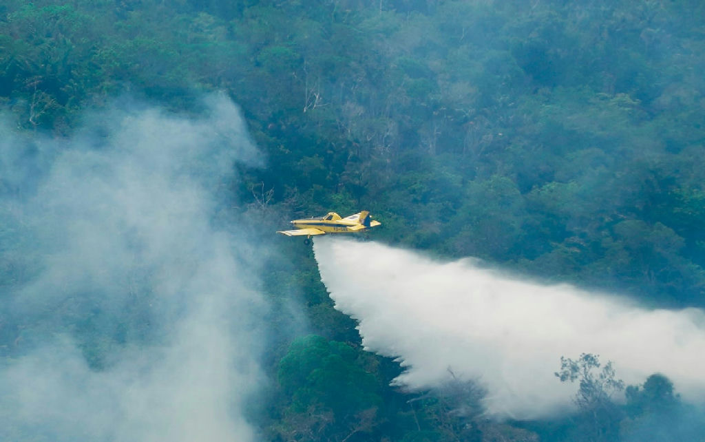 Queimadas no Amazonas: Ibama extingue quase 300 focos e investiga indícios de crimes