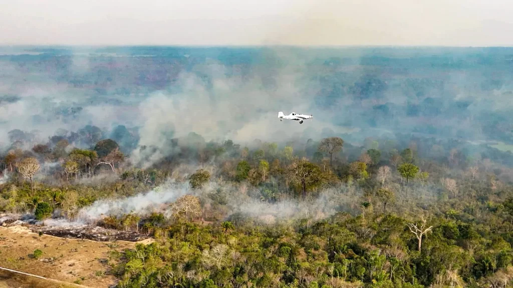 Reforço federal chega ao Amazonas com aeronaves e brigadistas para combater incêndios