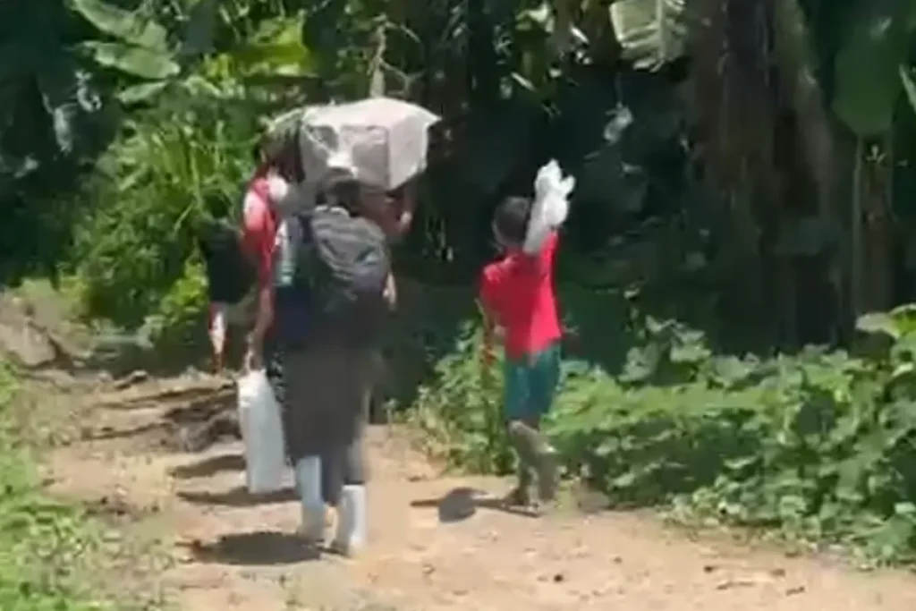Seca histórica obriga transporte de urnas a pé por trilhas na mata em Tabatinga