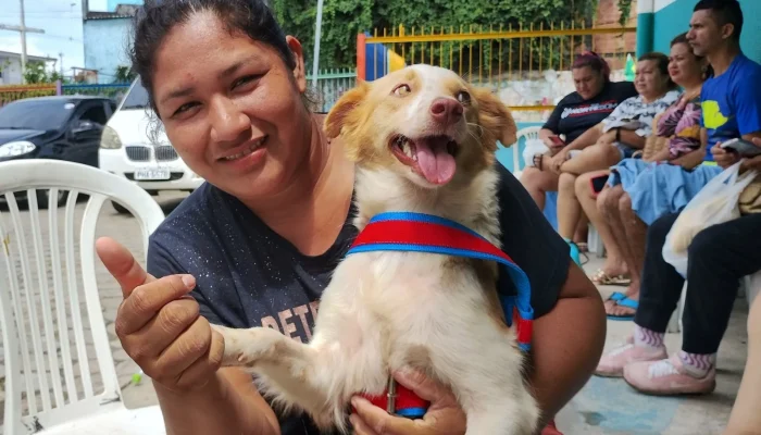 Agendamento online para castração de cães e gatos em Manaus é liberado