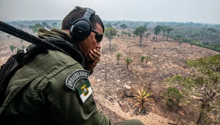 Amazonas em chamas: Ibama intensifica fiscalização e aponta origem criminosa das queimadas