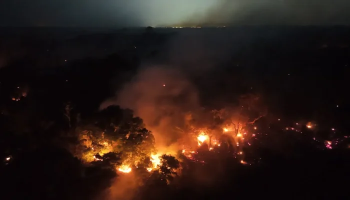 Amazonas enfrenta disparada de 271% em focos de queimadas e fumaça sufoca cidades
