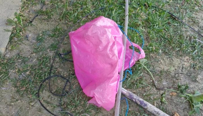Avó de Manaus relata resgate emocionante de neta de um mês em incêndio de prédio