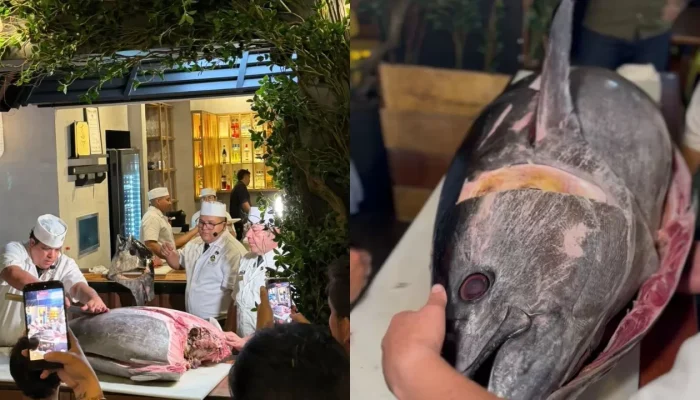 Cerimônia Kaitai marca um ano do Mori Izakaya com atum bluefin de 100 kg em Manaus