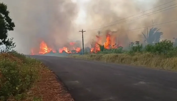 Chamas avançam em Caapiranga e ameaçam sítios no Amazonas: 'arriscar a vida'