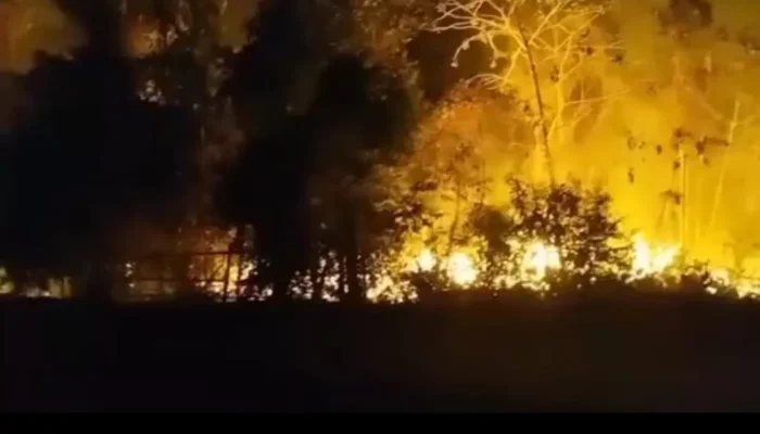 Chamas consomem mata perto de lixão em Maués e acendem alerta para recorrência no Amazonas