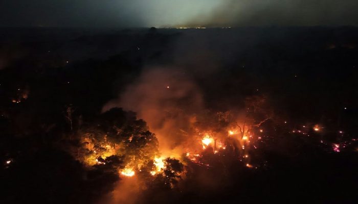 Combate a incêndios no Amazonas ganha reforço de força-tarefa de SP