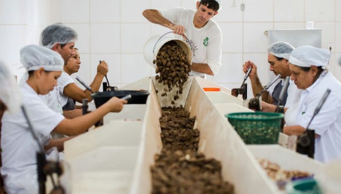 Consulta pública sobre produtos sustentáveis no acordo Mercosul-ue encerra na quarta-feira