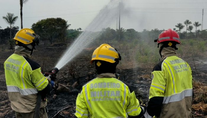 Crime ambiental suspeito em Iranduba: incêndio florestal atinge 700 hectares e mobiliza bombeiros