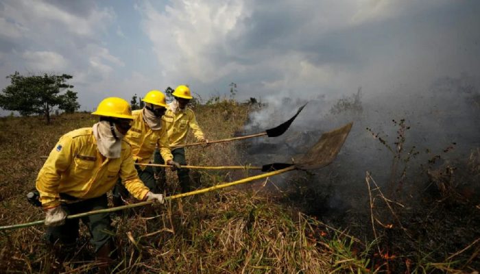 Disparada de focos de calor no Amazonas em 2026 supera total do ano anterior em 27%