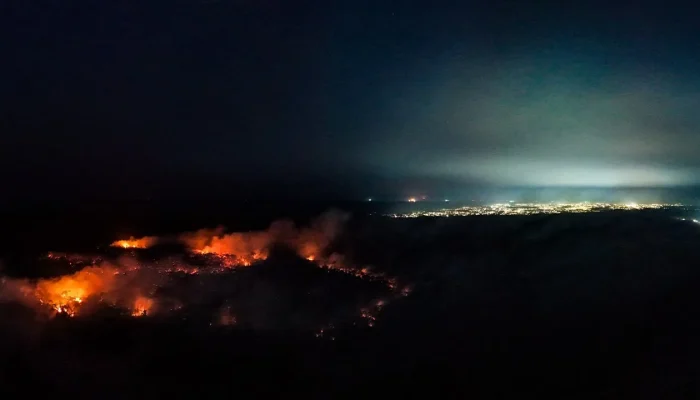 Emergência em 36 municípios do Amazonas por incêndios florestais é reconhecida pelo governo federal