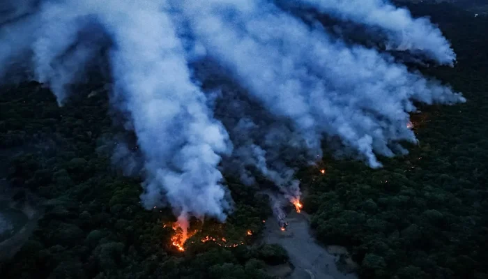 Equipes flagram incendiários na floresta do Amazonas e ministro anuncia rigorosa investigação criminal