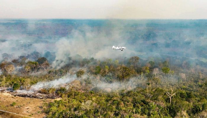 FAB mobiliza cargueiros Kc-390 para reforçar combate a incêndios florestais no Amazonas