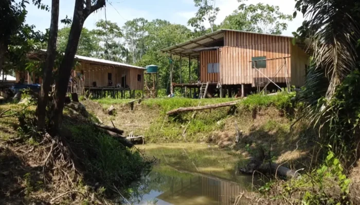 Fenômeno de terras caídas obriga ribeirinhos a mudarem casas durante estiagem no Amazonas
