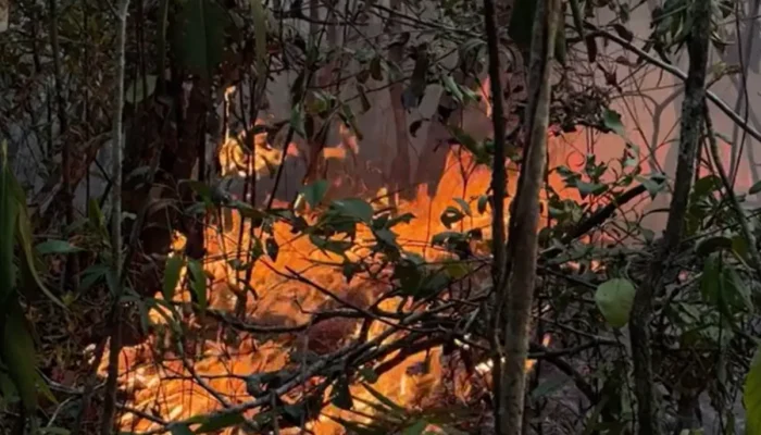 Fogo em Itacoatiara consome plantações e põe moradias em risco após duas semanas de avanço
