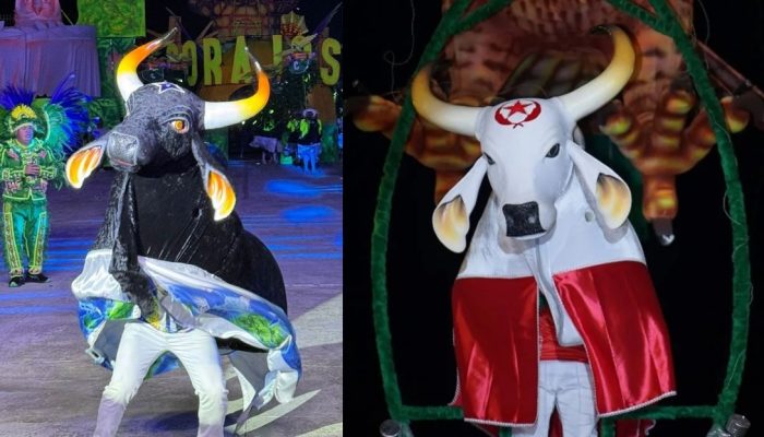 Fonte Boa no Amazonas: festival folclórico de 40 anos revive tradições com duelo de bois