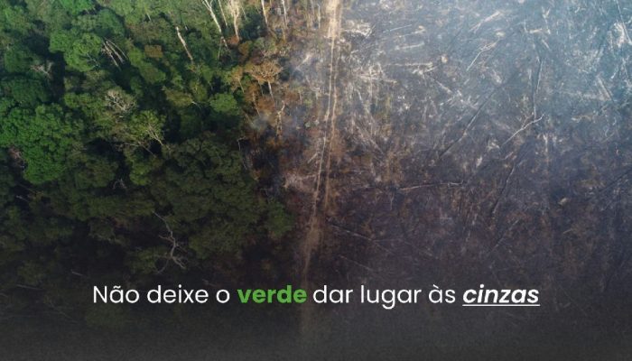 Fundação Rede Amazônica lança campanha contra queimadas e alerta para El Niño intenso