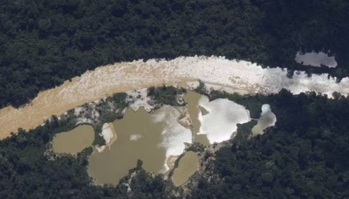 Garimpo ilegal no Parque Mapinguari: Justiça do Amazonas acusa quatro por devastação ambiental
