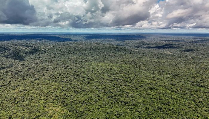 Governo autoriza empréstimo de US$ 1 bilhão do BID para o Eco Invest Brasil
