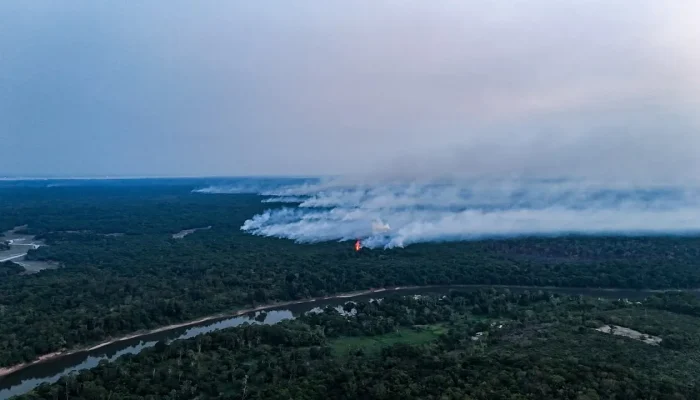 Governo federal apura ação criminosa por trás da onda de incêndios no Amazonas