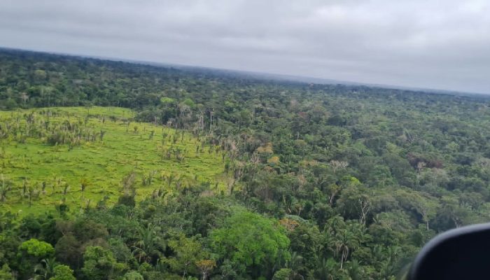 Governo federal cria quatro reservas de desenvolvimento sustentável no Amazonas
